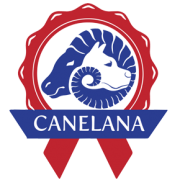 Canelana